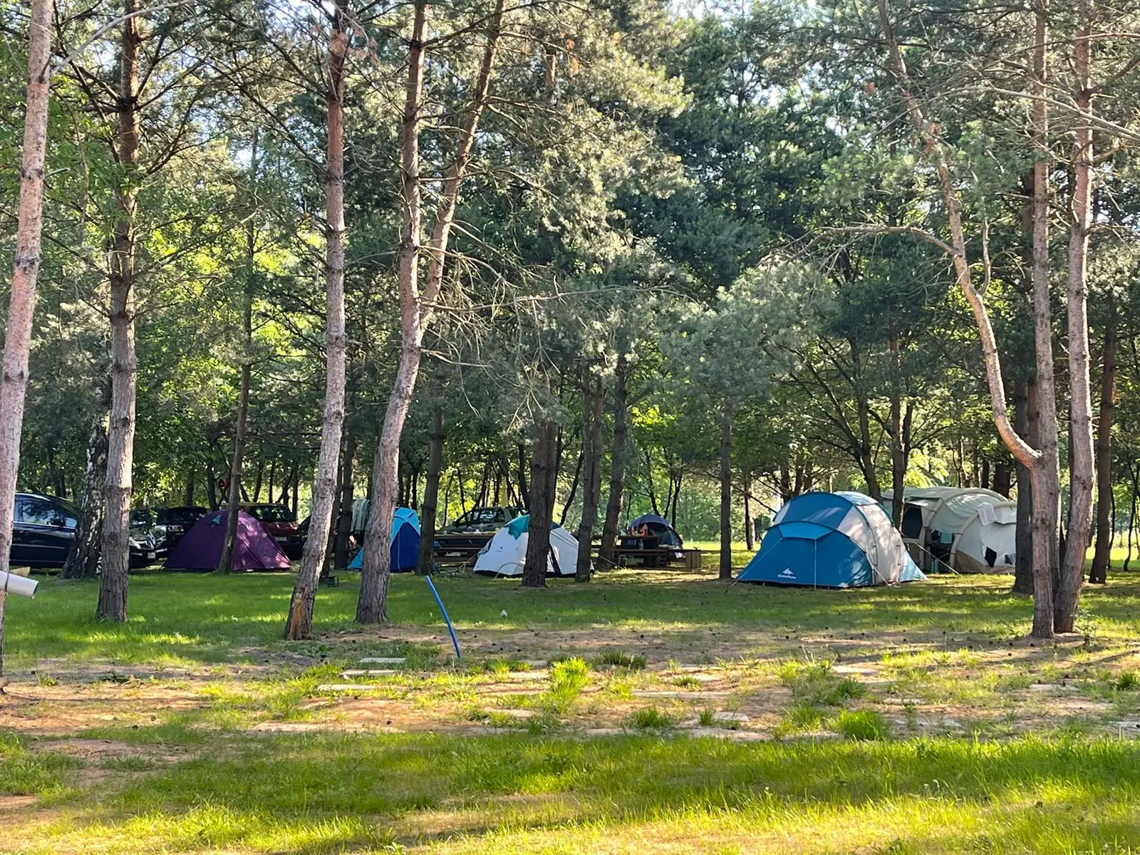 Pole namiotowe nad Małą Panwią – namioty w naturalnej okolicy